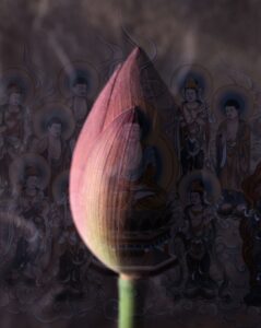 meditatie in Doetinchem